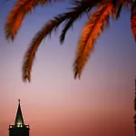 Summer 2026 Apartments Near The Beach Apartment